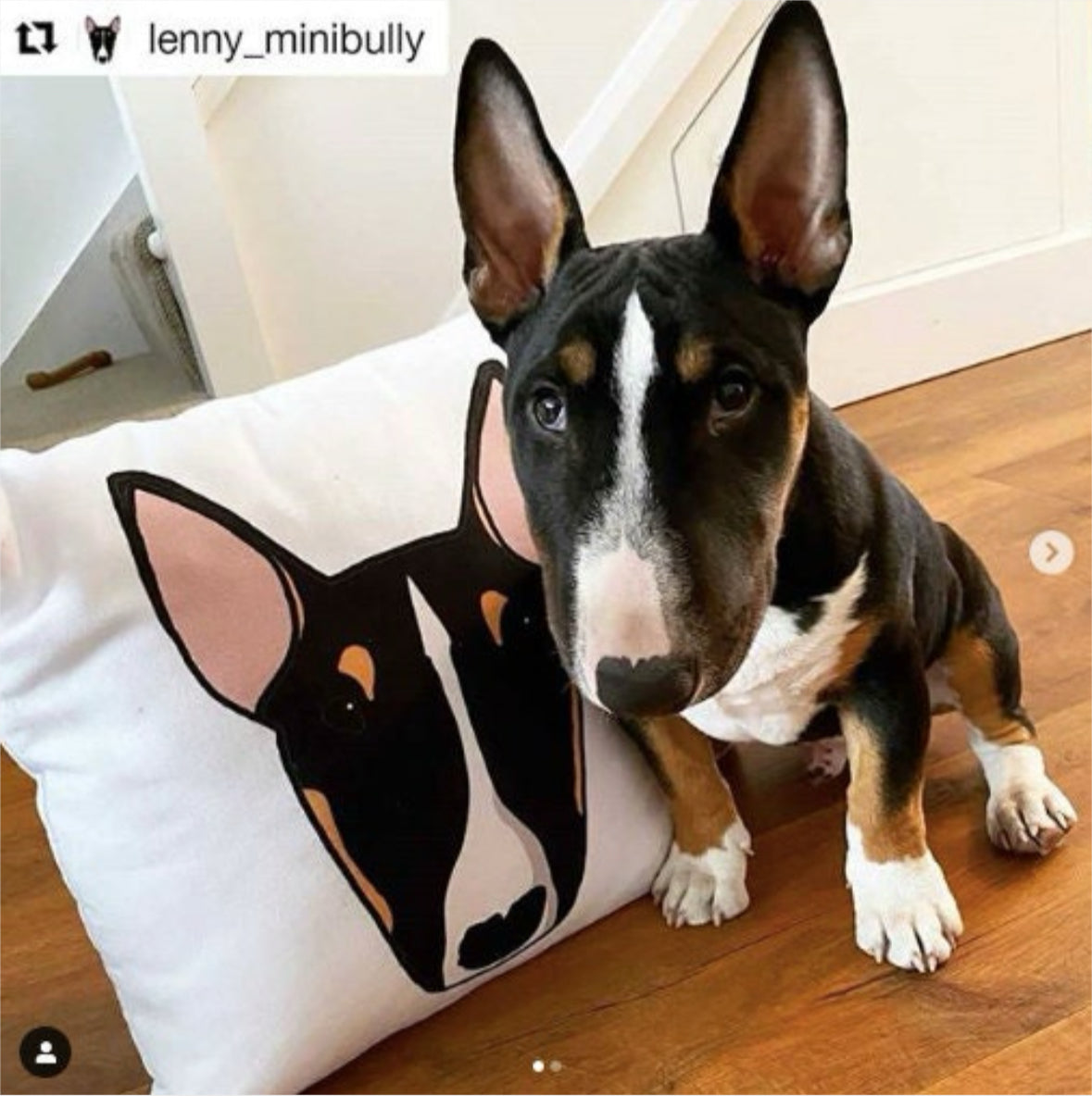 Custom Portrait Cushion