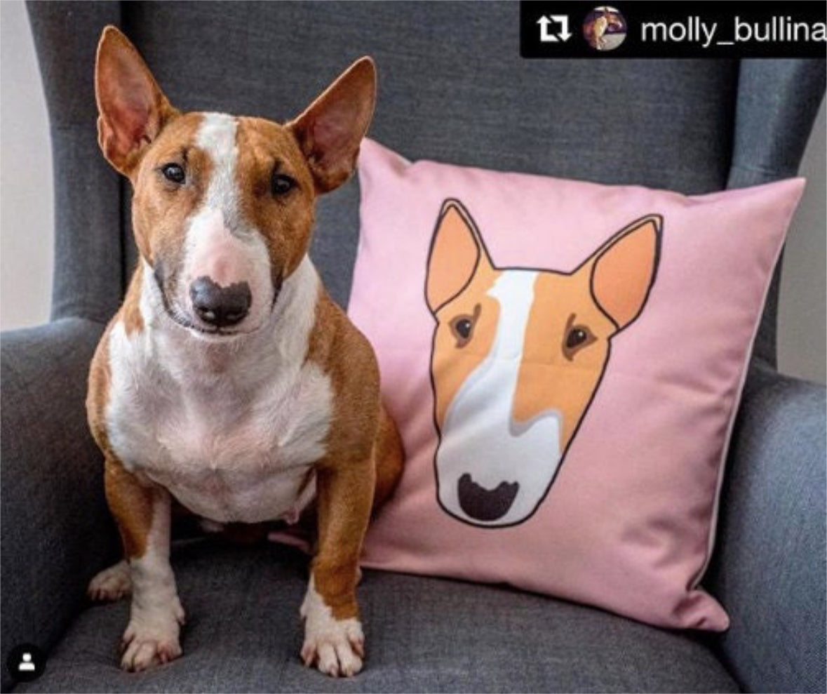 Custom Portrait Cushion