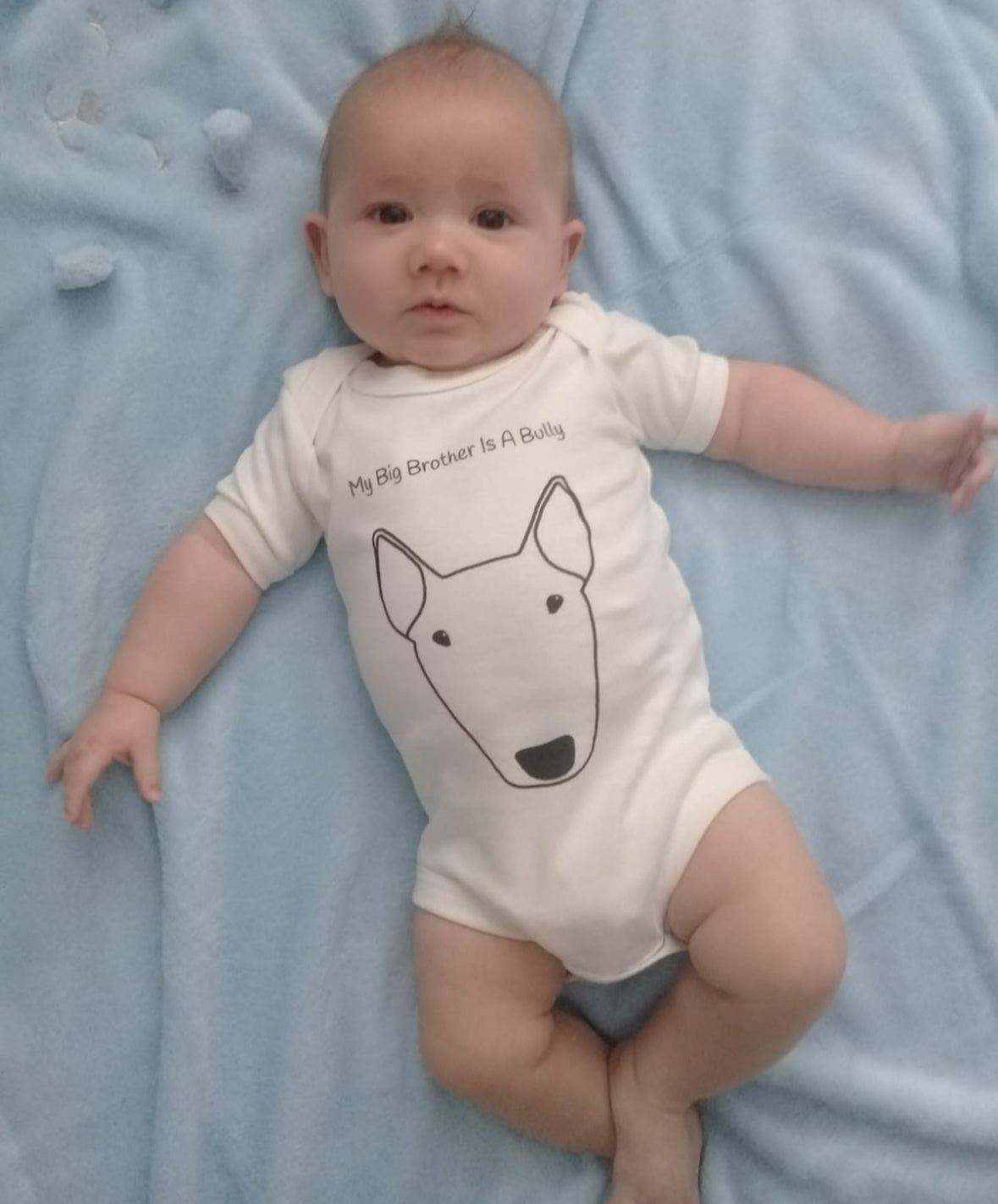 Bull Terrier Babygrow