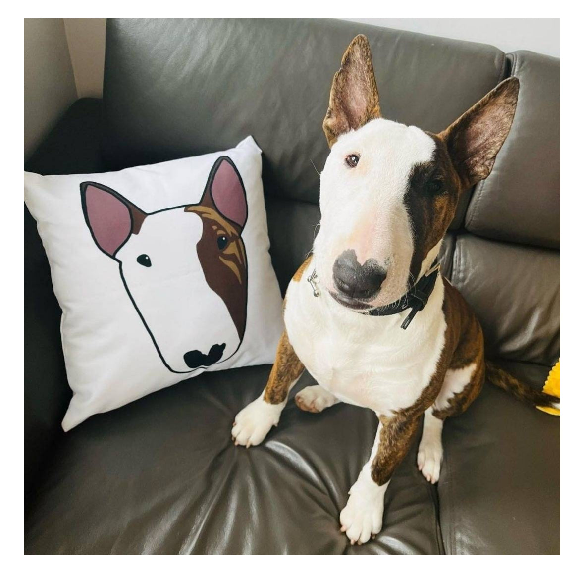 Custom Portrait Cushion