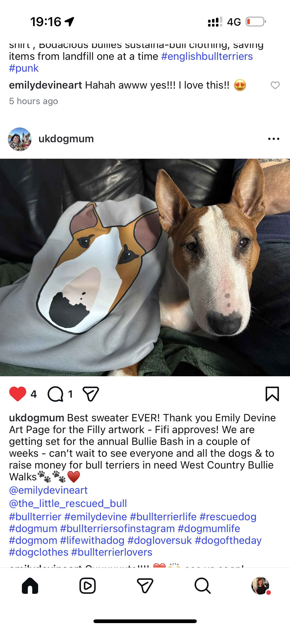 Custom Bull Terrier Sweatshirt