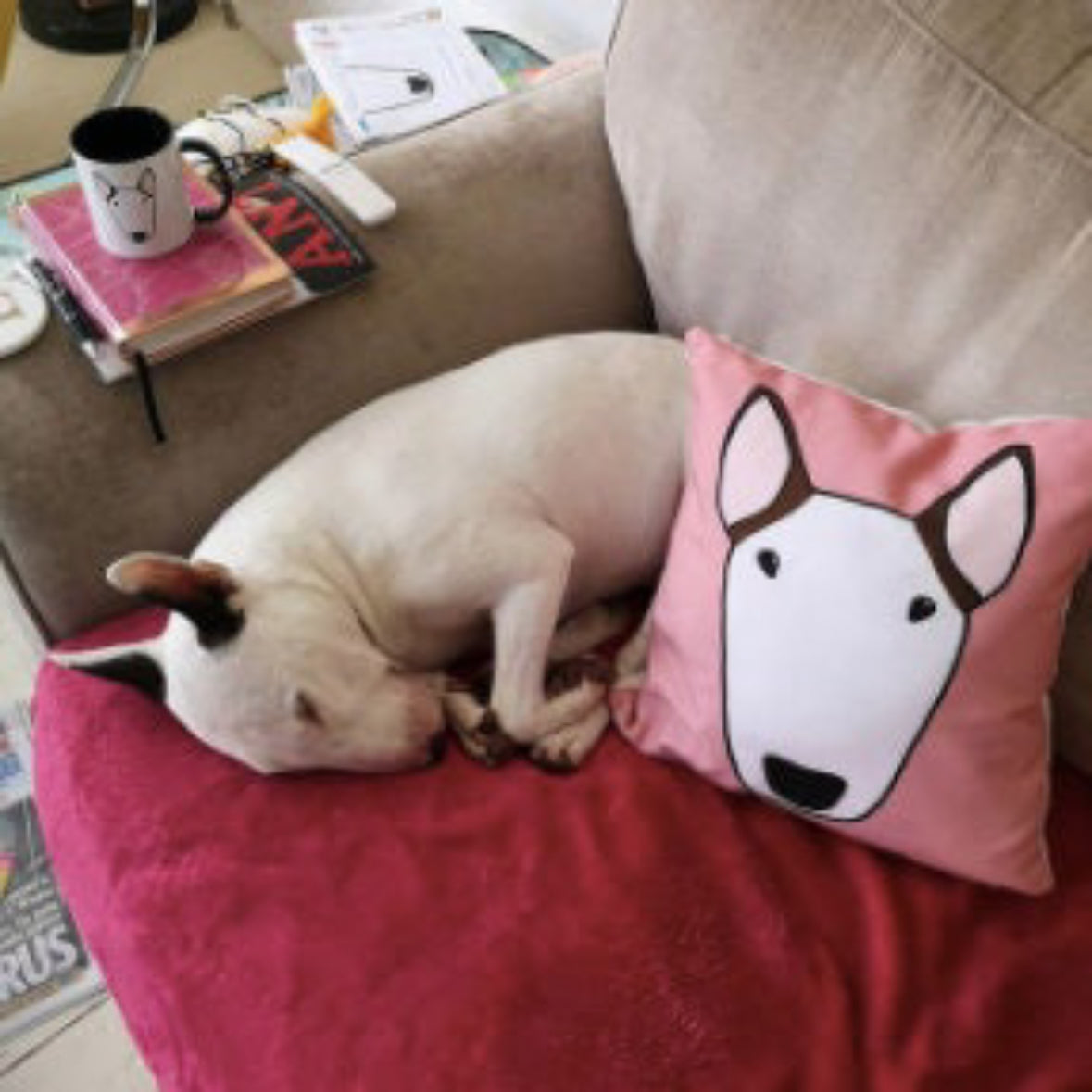 Custom Portrait Cushion