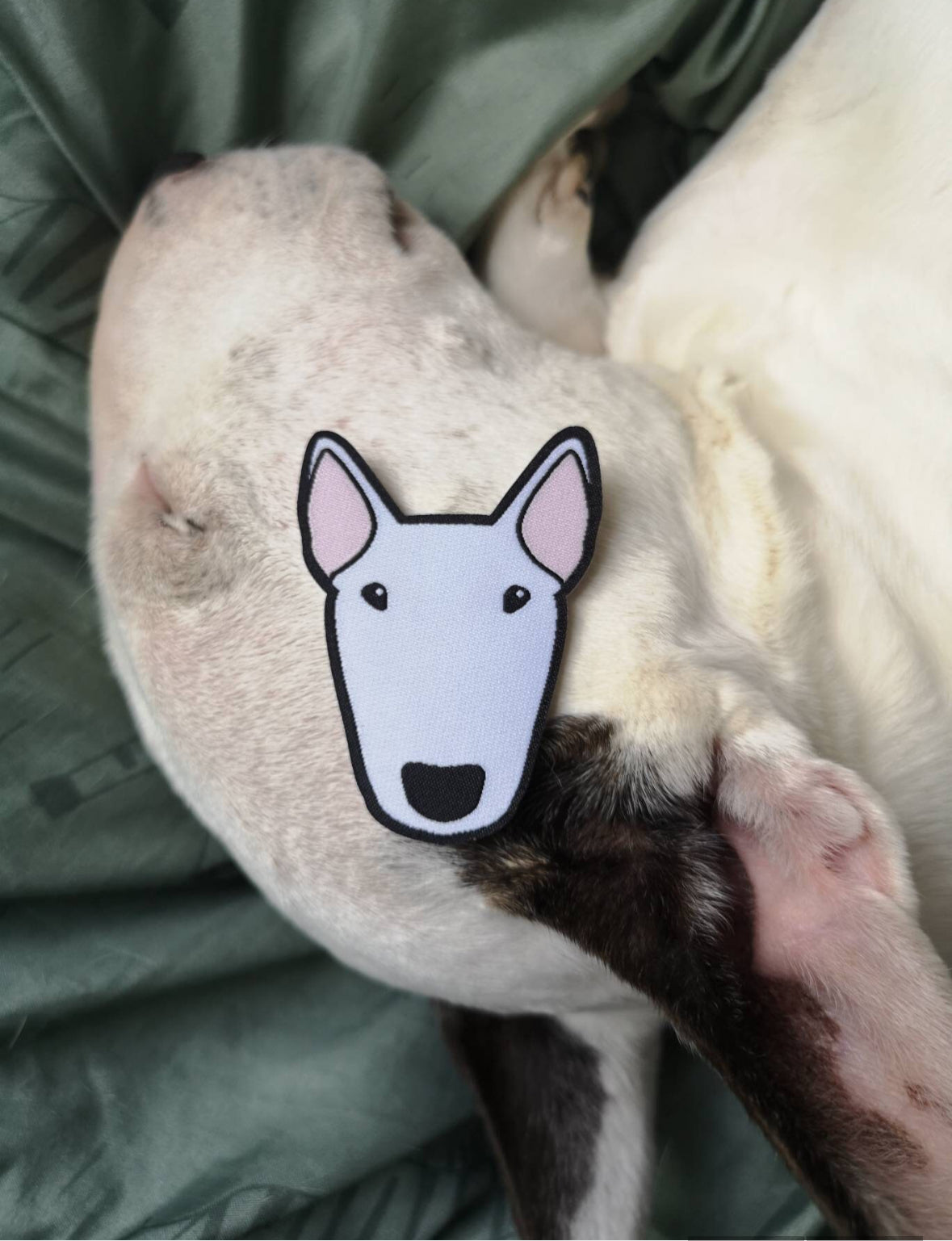 Bull Terrier Iron-on embroidered patch