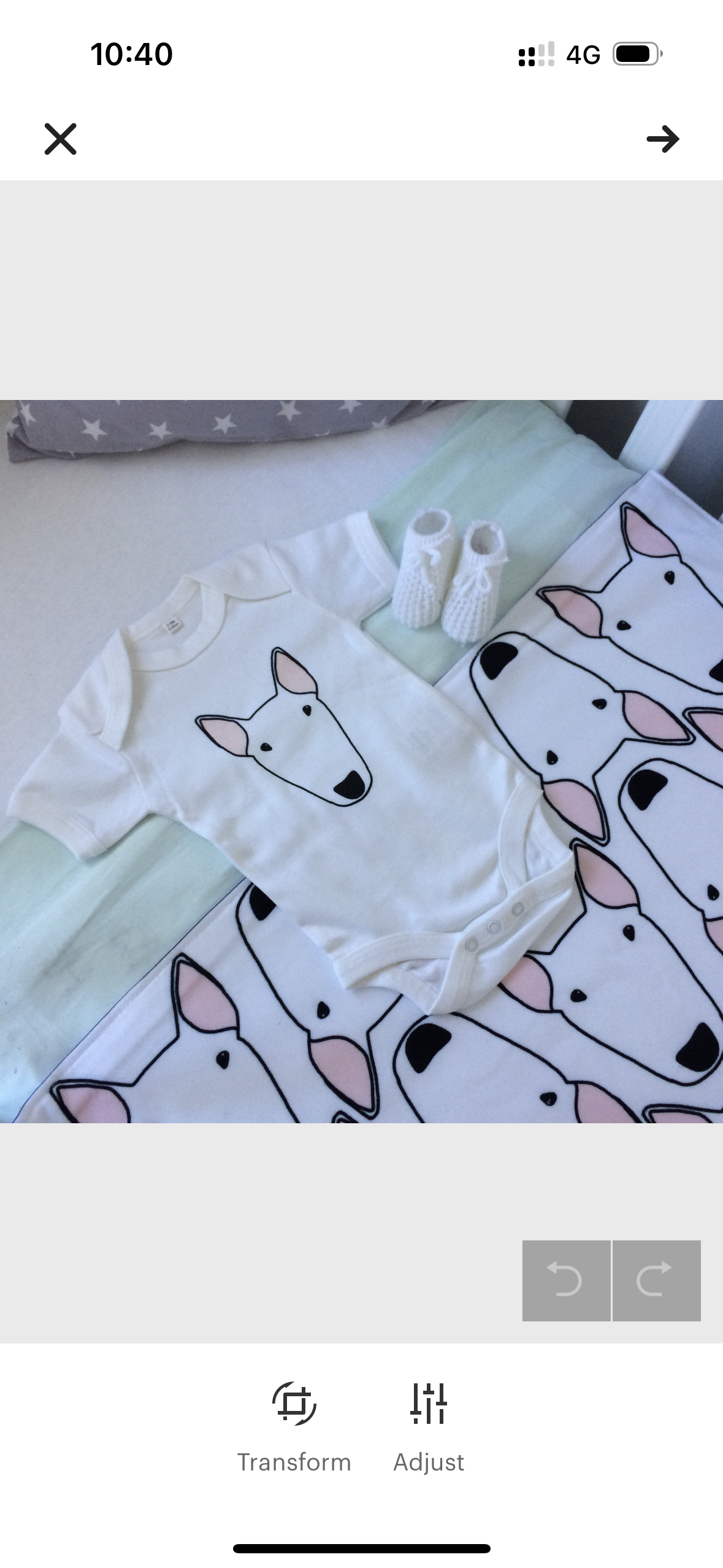 Bull Terrier Babygrow