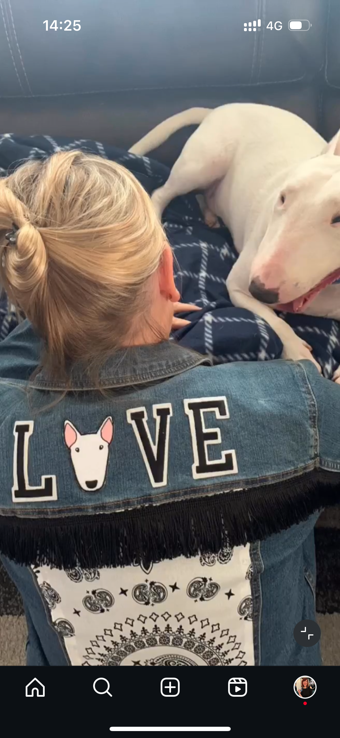 Bull Terrier Iron-on embroidered patch