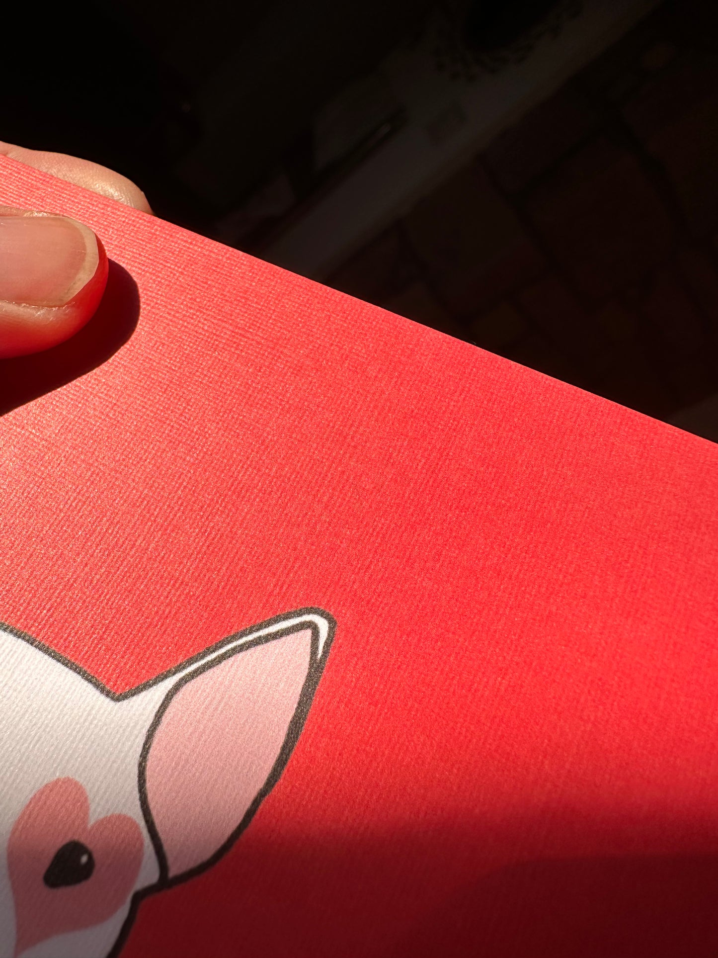 Bully Love Greeting Cards (Pack Of Five)