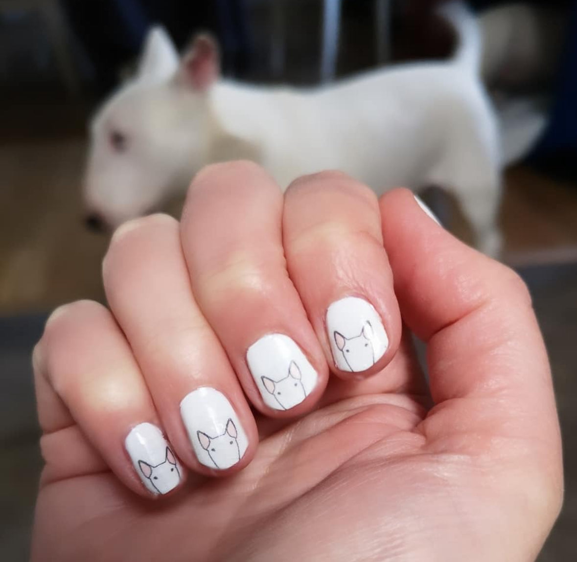 Bull Terrier Nail Decals