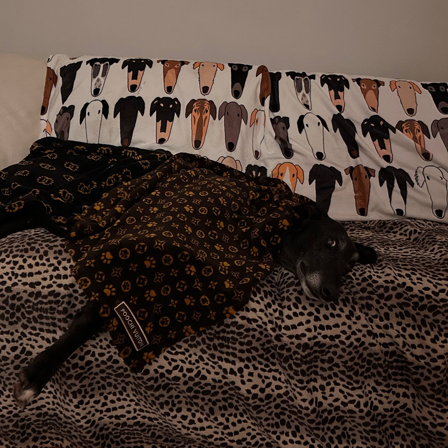Hound Gang Fleece Blanket (3 sizes)