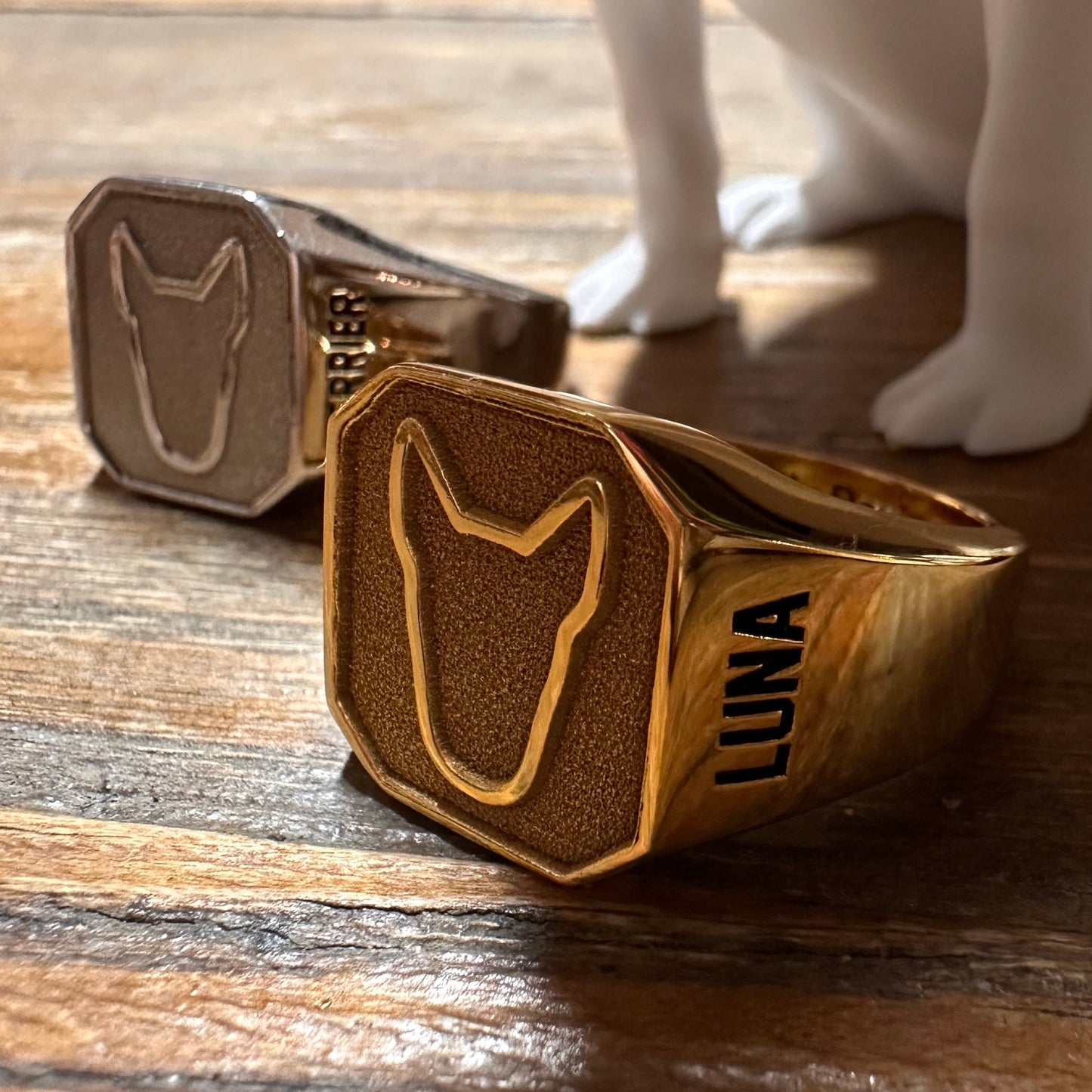 Big Bully Signet Ring (Silver/Gold/Black/Rose Gold)