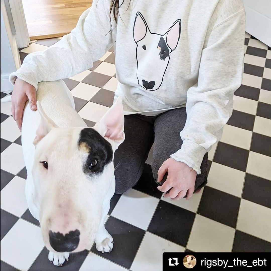 Custom Bull Terrier Sweatshirt