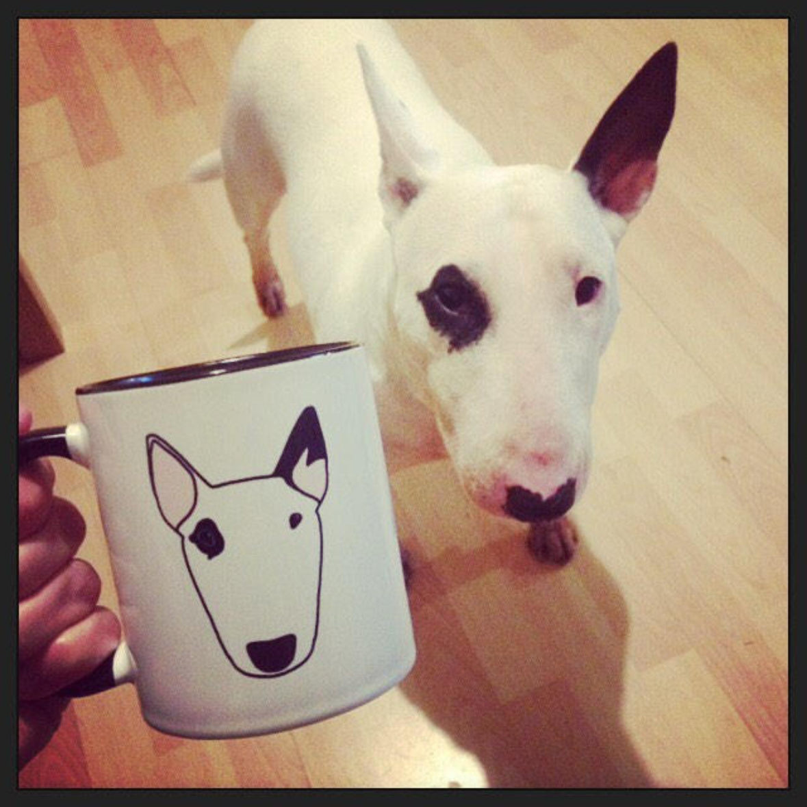 Custom Bull Terrier Mug