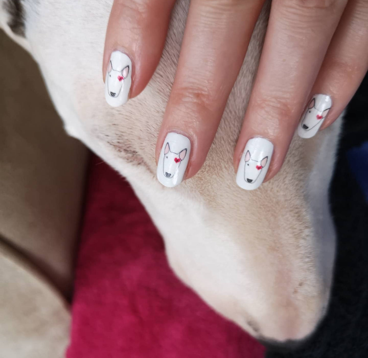 Bull Terrier Nail Decals