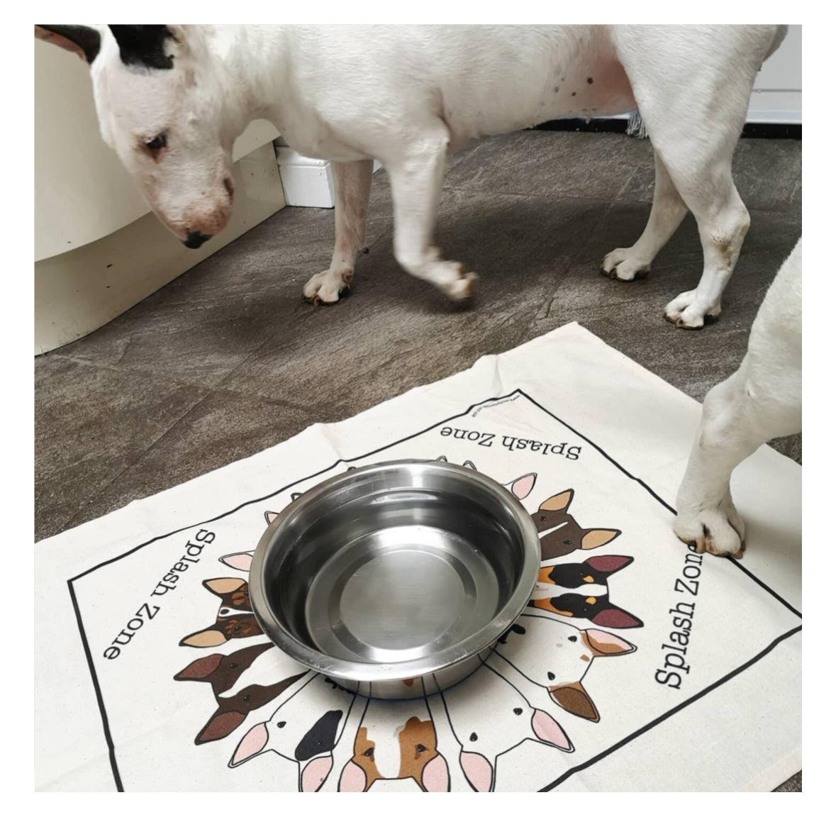 Splash Zone Bull Terrier Tea Towel