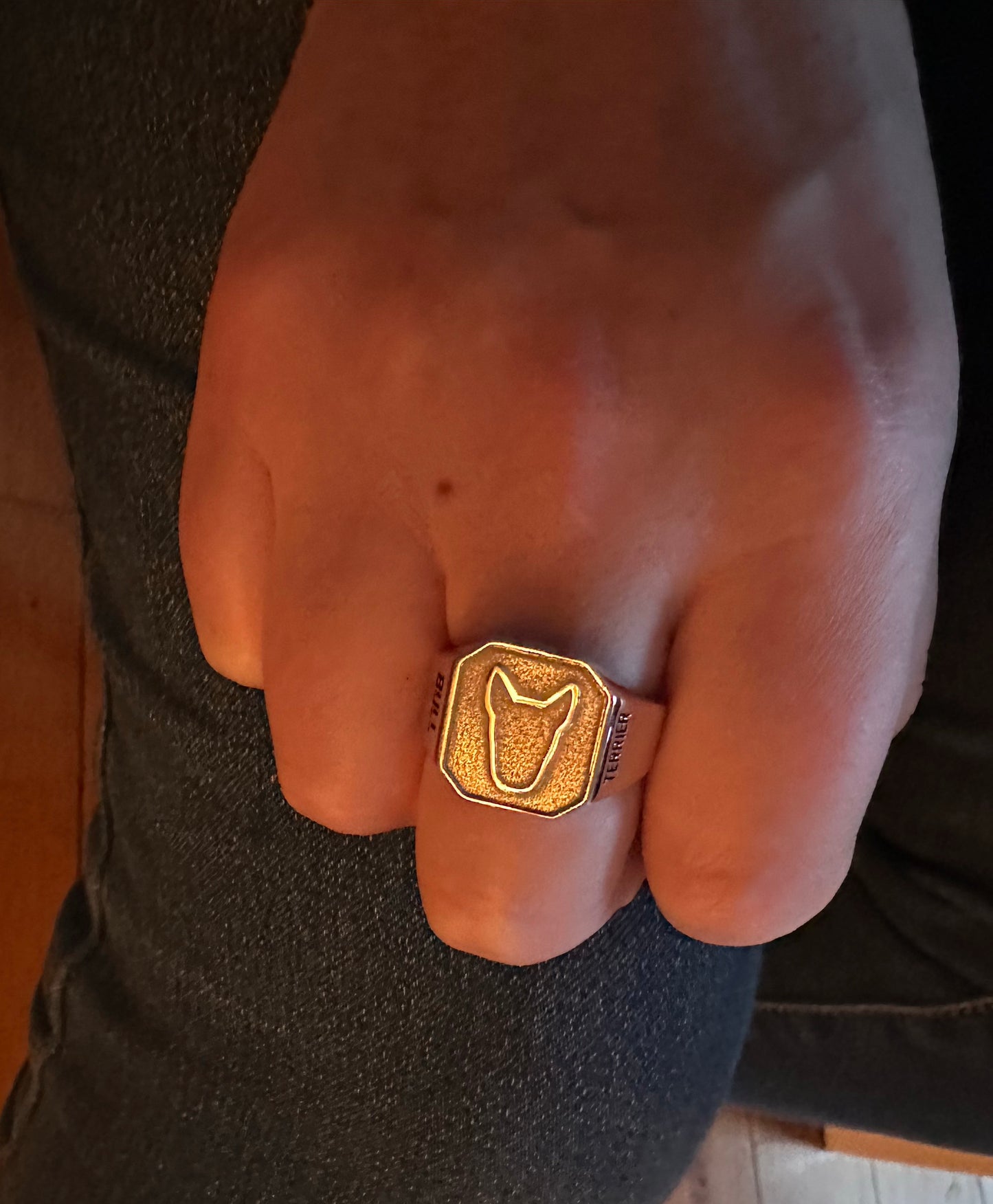 Big Bully Signet Ring (Silver/Gold/Black/Rose Gold)