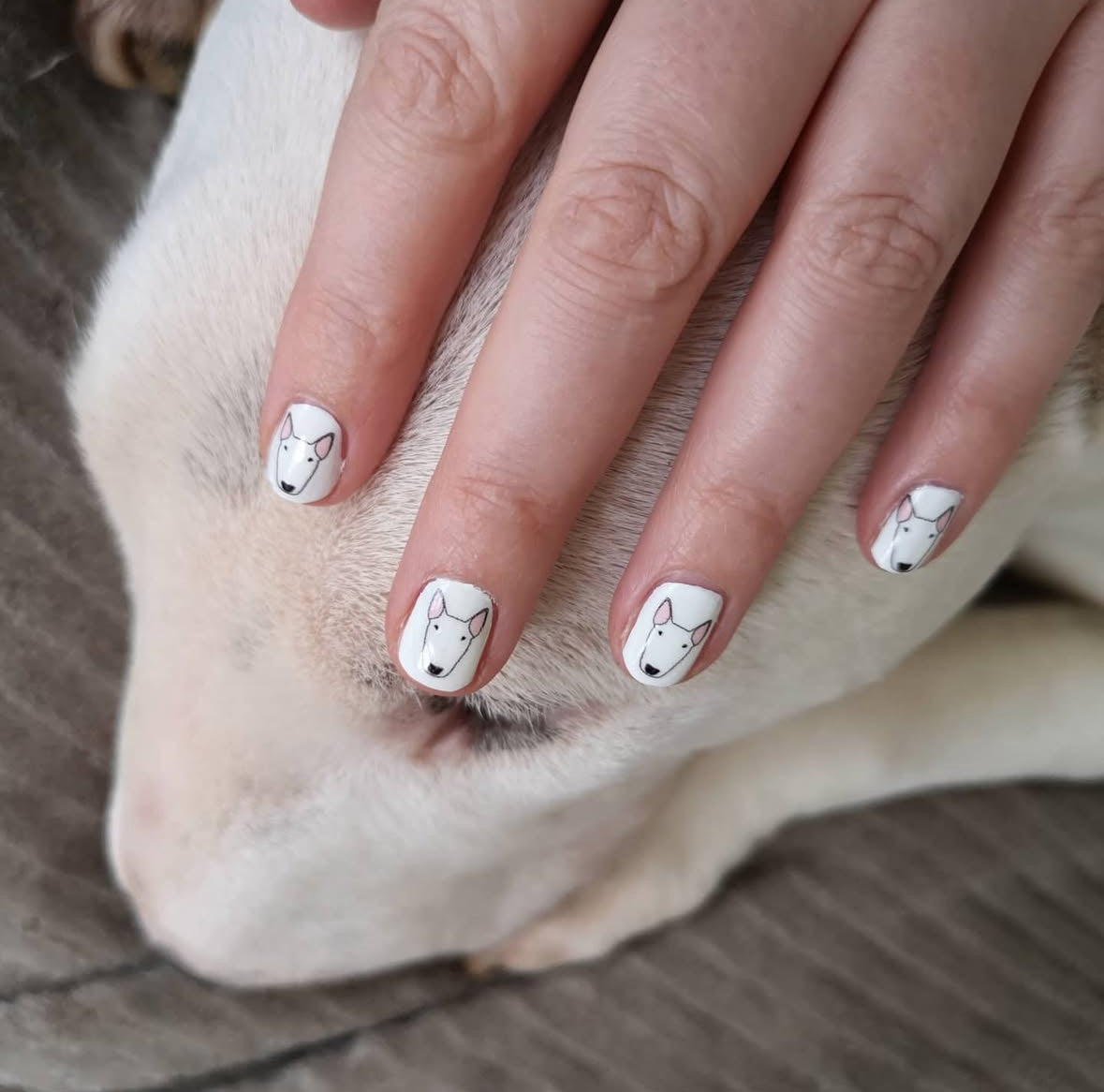 Bull Terrier Nail Decals