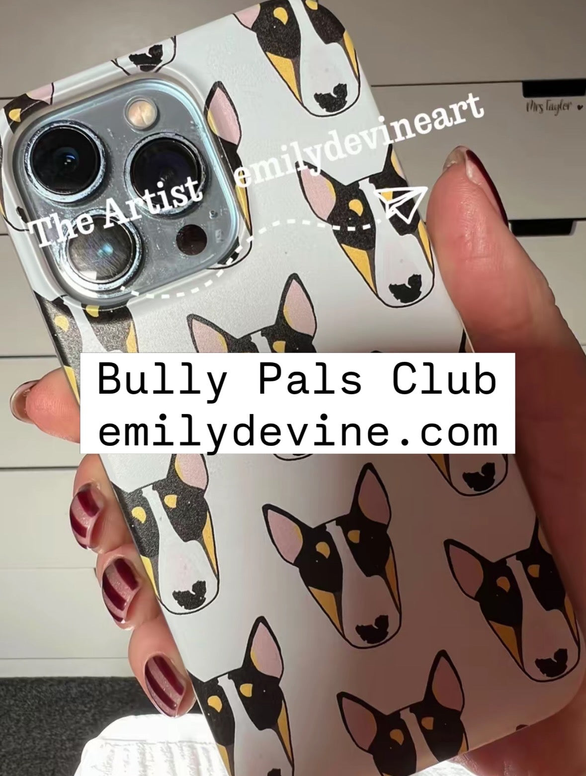 Bully Pals Club