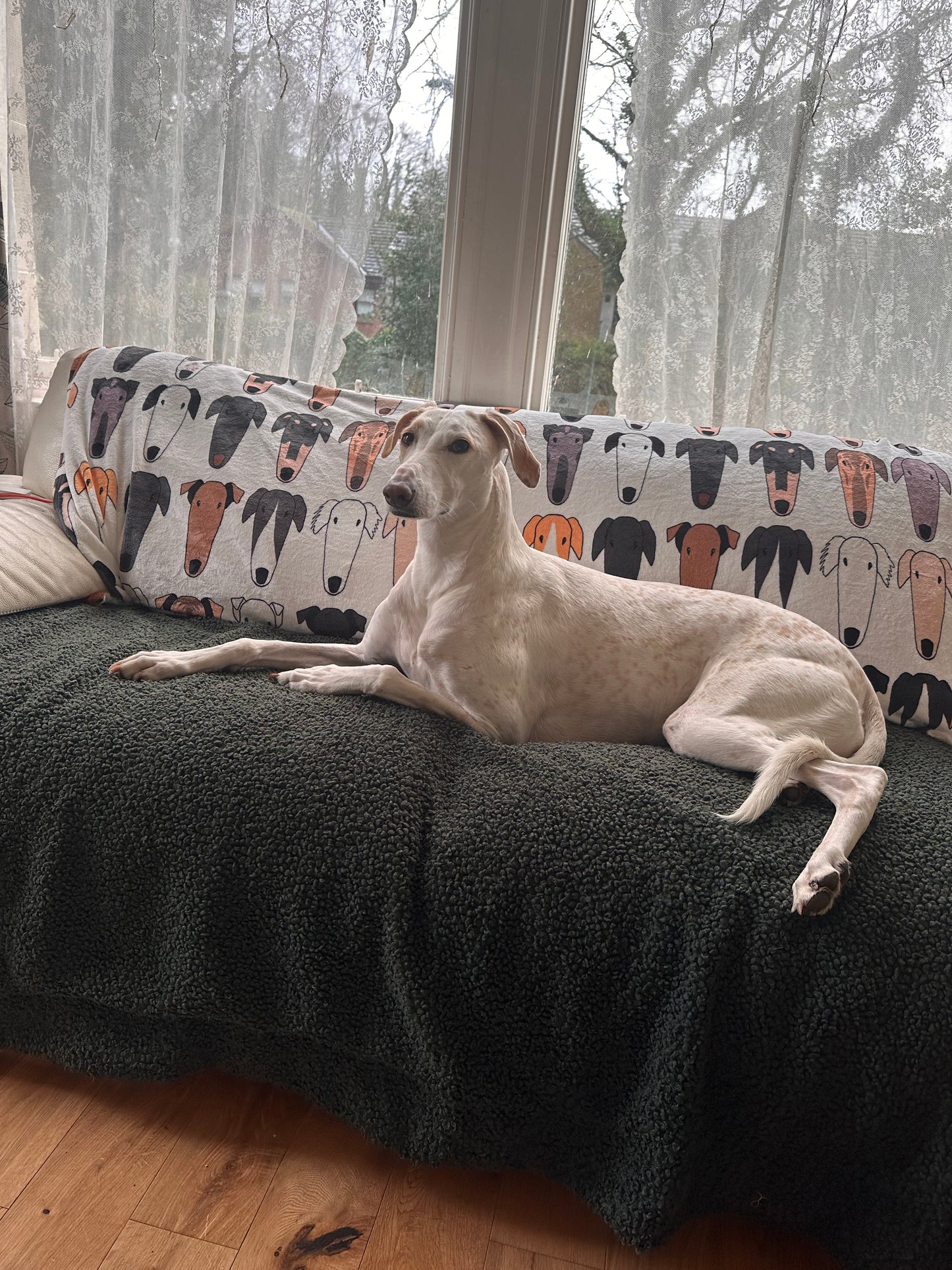 Hound Gang Fleece Blanket (3 sizes)