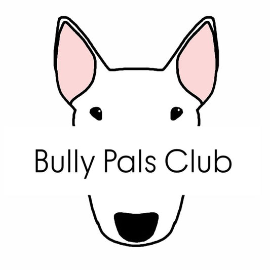 Bully Pals Club