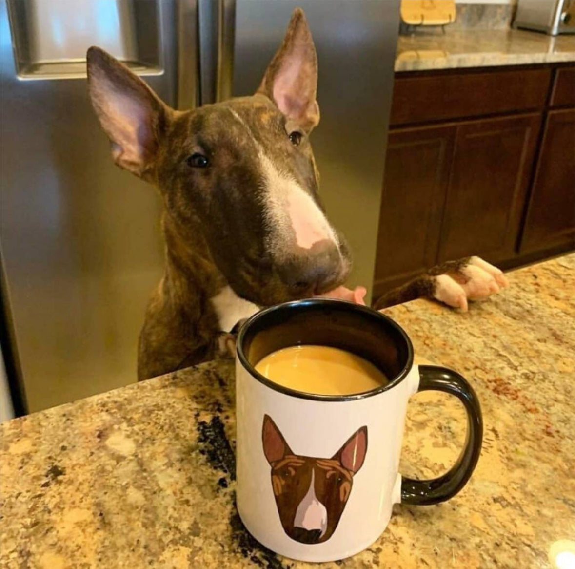 Custom Bull Terrier Mug