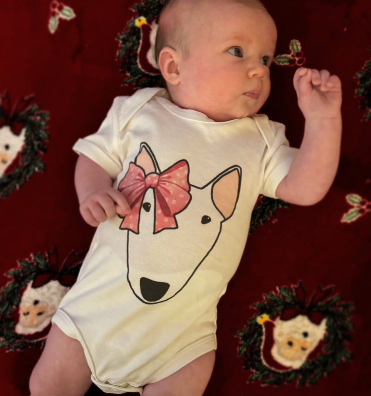 Bull Terrier Babygrow